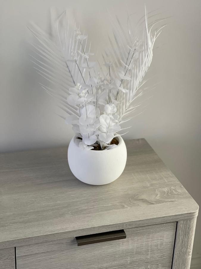 Edith Haven Tynemouth Fabulous Coastal Holiday Home With Free Onstreet Parking Eksteriør billede